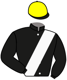 Casaque du n°6 — ALAS DE GOLONDRINA