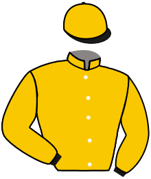 Casaque du n°6 — BAGUALON