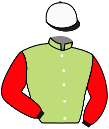 Casaque du n°8 — SCALONETA SAR