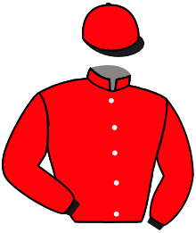 Casaque du n°3 — INDIO COMANCHE