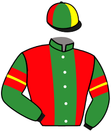 Casaque du n°6 — ANDAINO