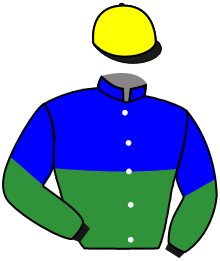 Casaque du n°5 — DARIAN