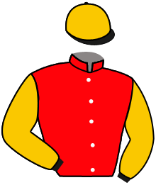Casaque du n°10 — MARROCO MOI