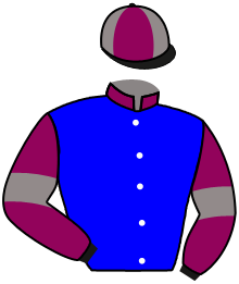 Casaque du n°3 — QUE GLORIOSO