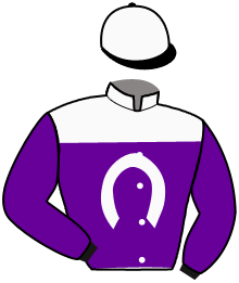 Casaque du n°4 — TRAPITO CARRANZA