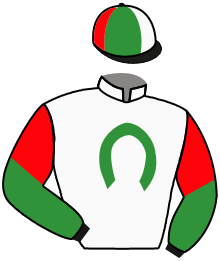 Casaque du n°8 — STRATEGIC MONCARO