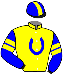 Casaque du n°4 — SERGINO
