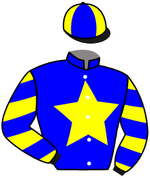 Casaque du n°2 — BEST HORSE