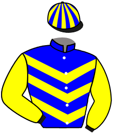 Casaque du n°6 — NOTABLE DON