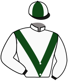 Casaque du n°9 — HAVIASSOR