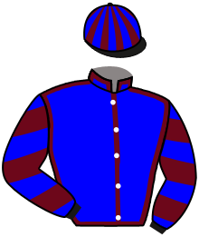 Casaque du n°3 — KENERGY