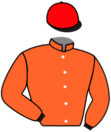 Casaque du n°2 — NOGAI KHAN