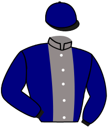 Casaque du n°10 — AL GHARIYA