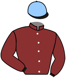 Casaque du n°5 — MAINE DE BIRAN