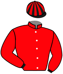 Casaque du n°3 — NEPTUNE DU HUTREL