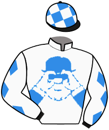 Casaque du n°4 — OPA HOPPENSTEDT