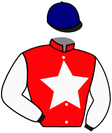 Casaque du n°6 — BARBADIN