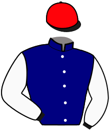 Casaque du n°3 — NOBLE DE LADIL