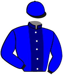 Casaque du n°9 — LIEUTENANT SIR