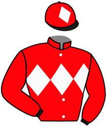 Casaque du n°7 — REDROSECASTANA