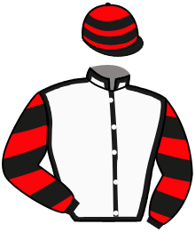 Casaque du n°5 — PREMIUM SEAT