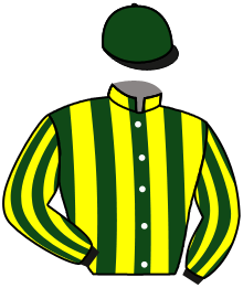 Casaque du n°12 — INKBERROW