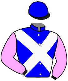 Casaque du n°9 — SIR CHOPS