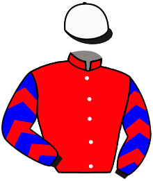 Casaque du n°2 — AMARACHI
