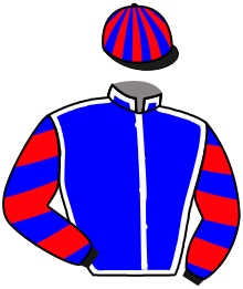 Casaque du n°5 — MANTON ROAD