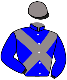 Casaque du n°6 — PRETTY SPIRITED