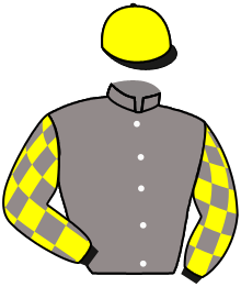 Casaque du n°8 — ROGUE OFFICER