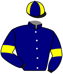 Casaque du n°11 — MAGIC RUNNER