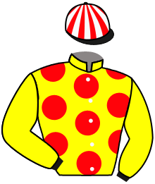 Casaque du n°1 — VICTOR CEE