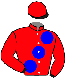 Casaque du n°3 — BASHOLO