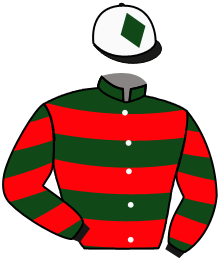 Casaque du n°3 — CLIPSHAM NOBLE