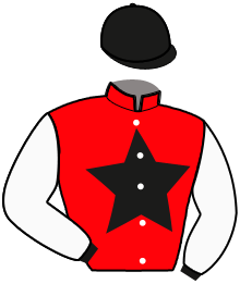Casaque du n°14 — JOULE DE LA FYE