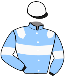 Casaque du n°14 — NOMAD DU BAS BOSQ