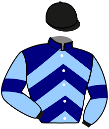 Casaque du n°3 — NEWTON SOLEDAD