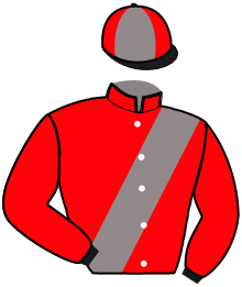 Casaque du n°12 — MALDA DU RIB