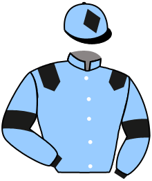 Casaque du n°10 — KARKHOV