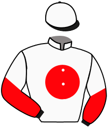 Casaque du n°14 — KHELLE TARTARE