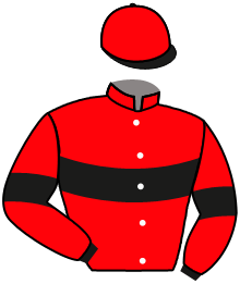 Casaque du n°1 — TAMAGHU