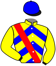 Casaque du n°14 — JUREER