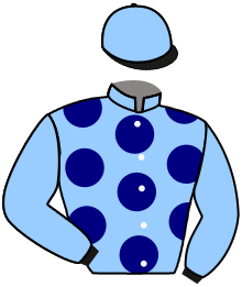 Casaque du n°3 — ERALA