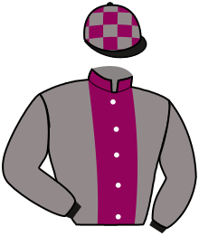 Casaque du n°11 — AL MARID