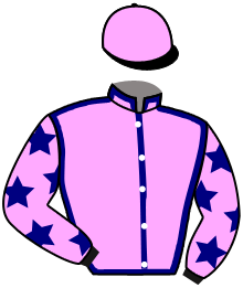 Casaque du n°3 — TOMTIT