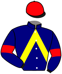 Casaque du n°2 — NESTORIUS