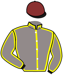 Casaque du n°4 — NOBLESSE DU GERS