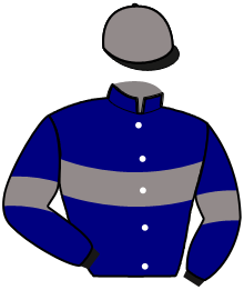 Casaque du n°8 — KINGSLEY