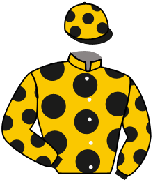 Casaque du n°1 — TOPSPIN KING